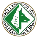US Avellino
