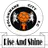 Polokwane City FC